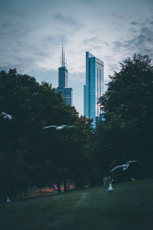 两座高层建筑 · 免费素材图片