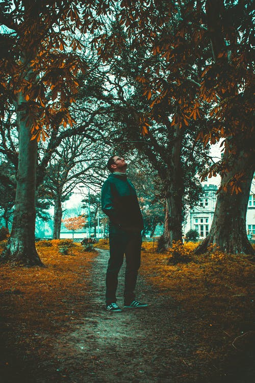 站在树旁边的人 · 免费素材图片