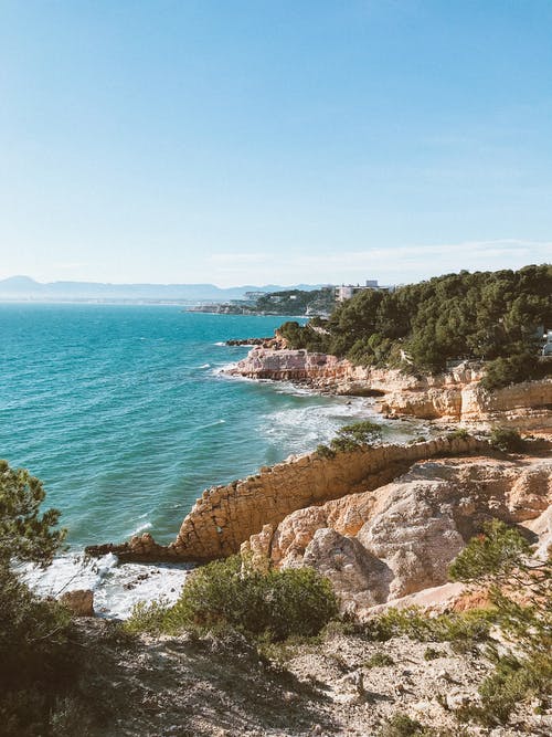 水体附近的树木 · 免费素材图片