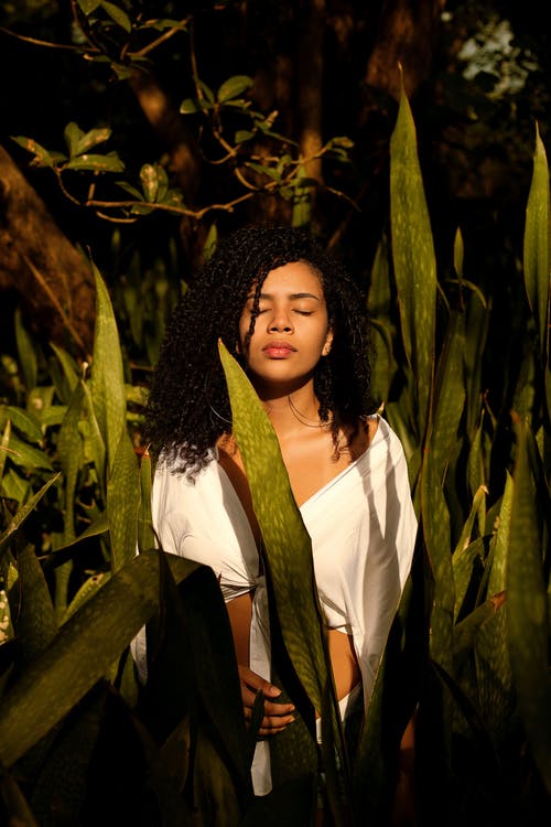 女人抱着绿叶植物 · 免费素材图片