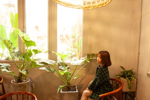 女人坐在房子植物旁的椅子上的照片 · 免费素材图片