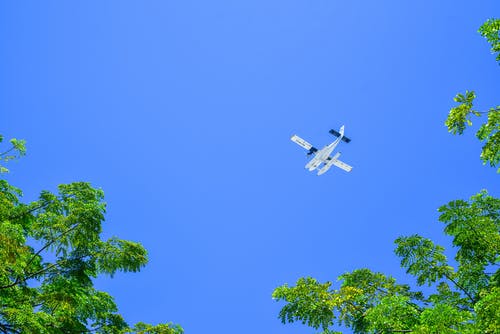 飞机在树上 · 免费素材图片