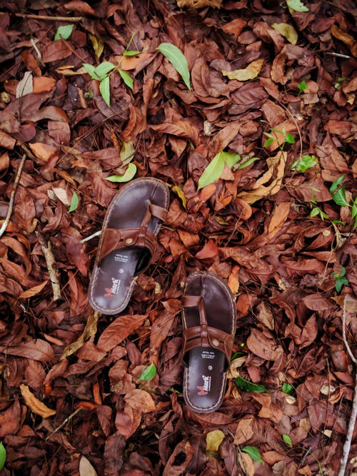 棕色皮革凉鞋 · 免费素材图片