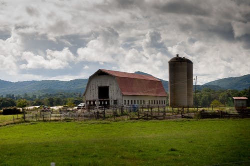 在田野中间的白色木制谷仓 · 免费素材图片