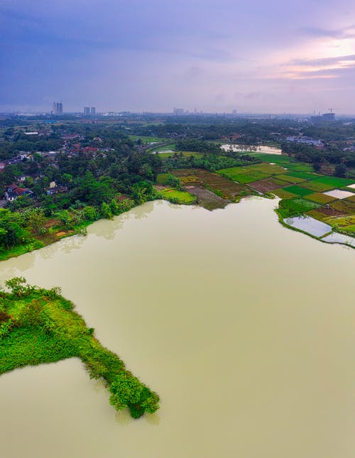 棕色水面，绿色土地和房屋的全景 · 免费素材图片