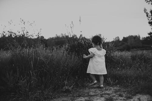 蹒跚学步站在草地上 · 免费素材图片