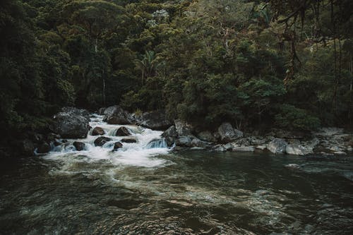 涟漪水 · 免费素材图片