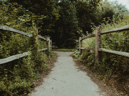 棕色木栅栏 · 免费素材图片