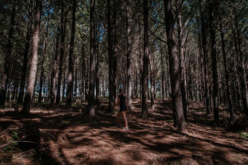 在森林上行走的女人 · 免费素材图片