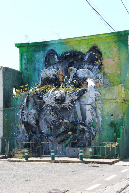 灰色浣熊涂在混凝土建筑的墙上 · 免费素材图片