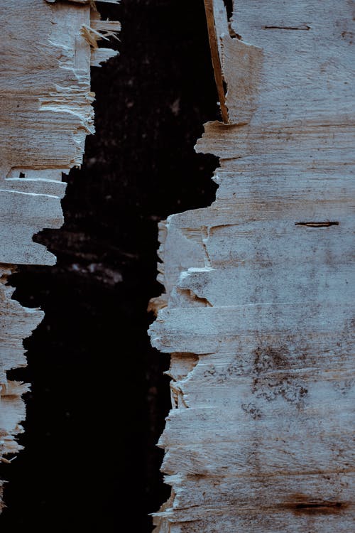 破碎的棕色木墙 · 免费素材图片