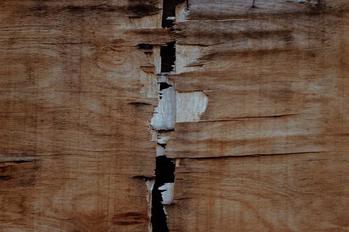 破碎的棕色木墙 · 免费素材图片