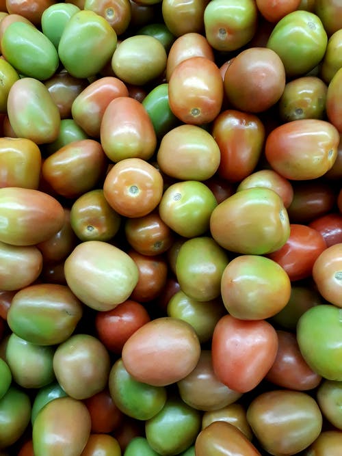 未成熟的西红柿的特写照片 · 免费素材图片