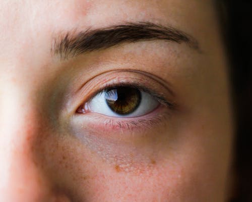 棕色眼睛的人 · 免费素材图片