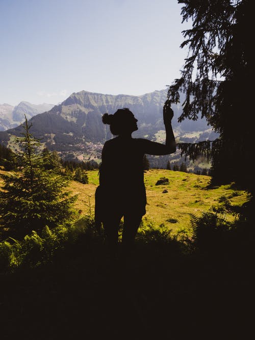 人碰树叶的剪影 · 免费素材图片