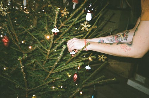 手臂纹身装饰圣诞树的人 · 免费素材图片