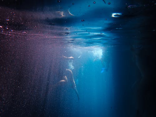 水下摄影 · 免费素材图片