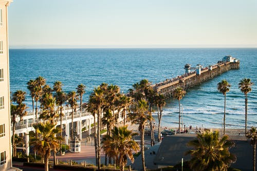 跨桥绿树 · 免费素材图片