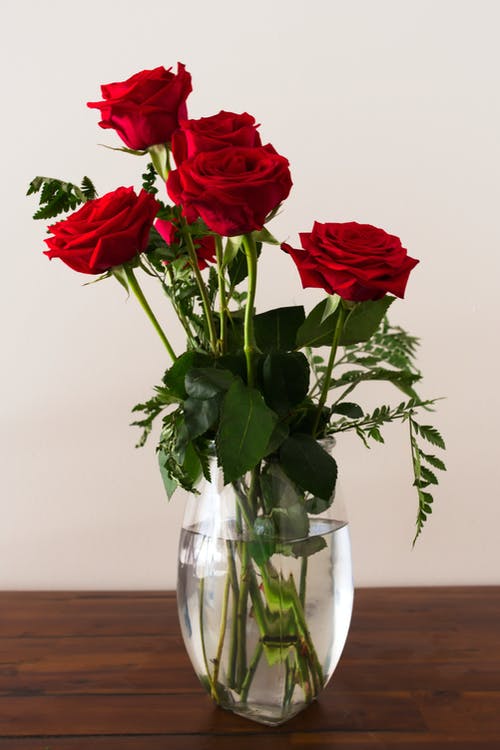 玫瑰在花瓶上的照片 · 免费素材图片