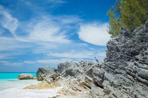 白天多岩石的海岸的照片 · 免费素材图片