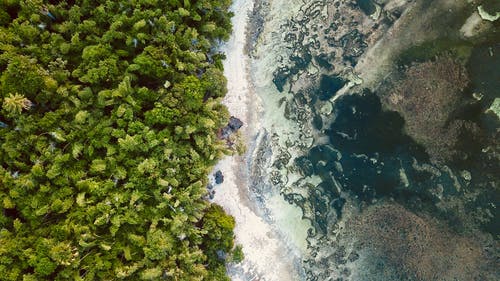 海滩和岛屿的航拍 · 免费素材图片