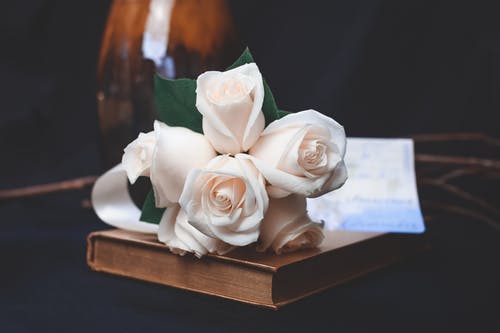 桃玫瑰花束 · 免费素材图片