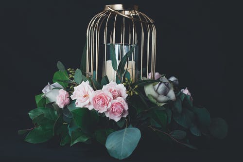 银鸟笼设计的粉红玫瑰小圆蜡烛座 · 免费素材图片