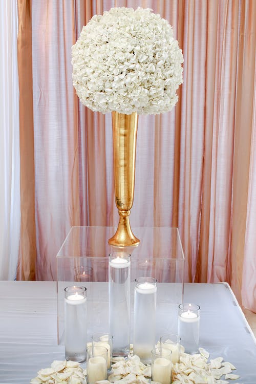 透明玻璃盒，蜡烛上的白花焦点 · 免费素材图片