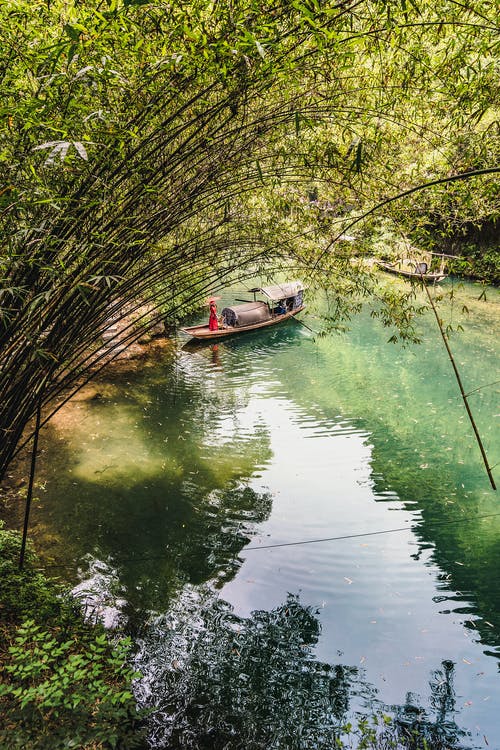站在高大的树木附近的船上的人的照片 · 免费素材图片