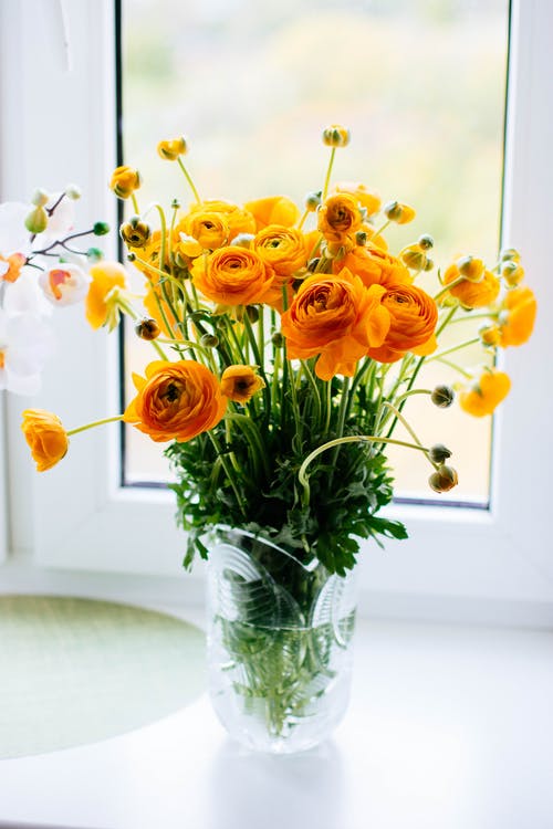 窗户旁边的玻璃花瓶中的黄色花朵的照片 · 免费素材图片