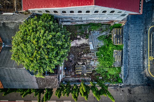 建筑物旁边的绿树的航拍照片 · 免费素材图片