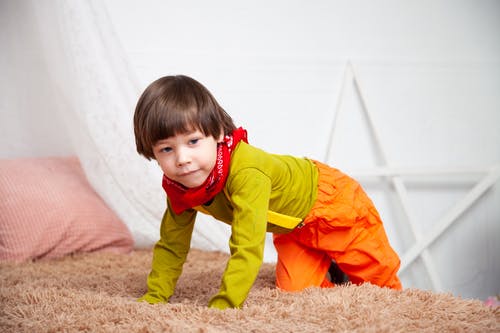 男孩跪在棕色皮毛上 · 免费素材图片