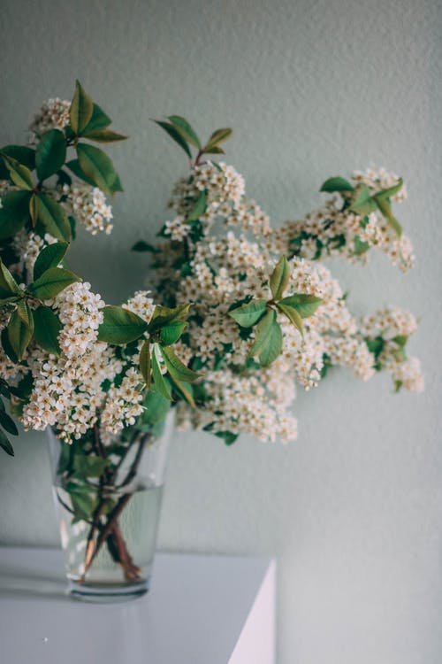 束鲜花插在花瓶里 · 免费素材图片