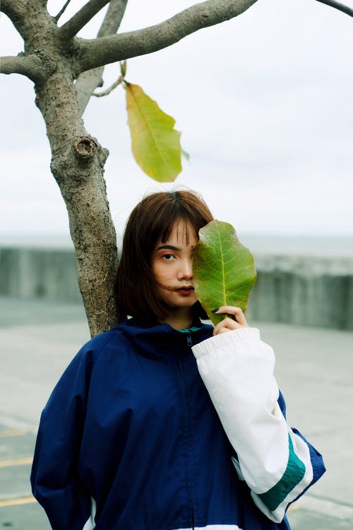 蓝色和白色的外套，斜倚在树上的女人，同时在她的眼前抱着一片大绿叶的照片 · 免费素材图片