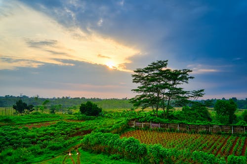 阳光下的农场 · 免费素材图片