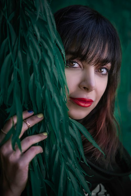 女人控股叶 · 免费素材图片