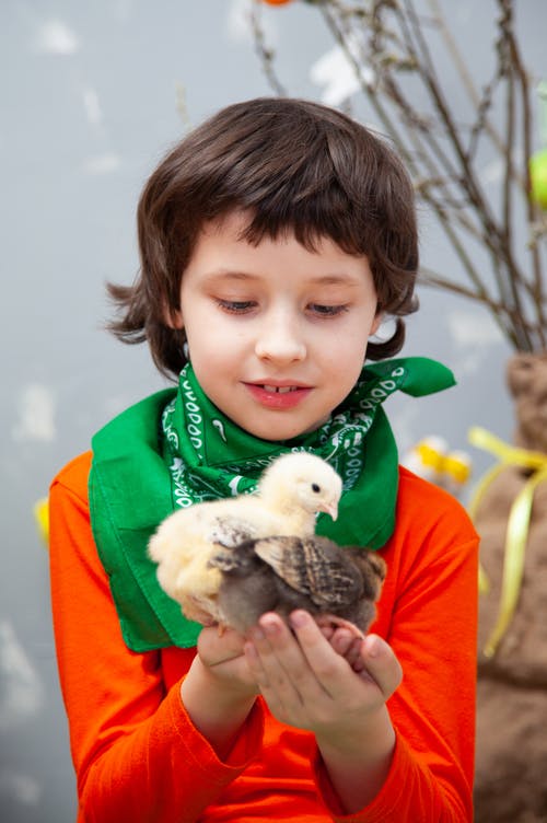 男孩控股鸟 · 免费素材图片
