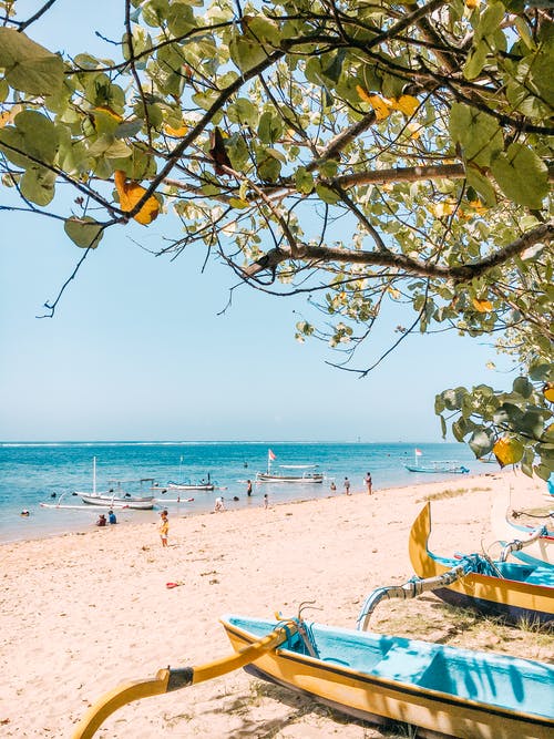 棕沙附近的蓝色和黄色小船 · 免费素材图片