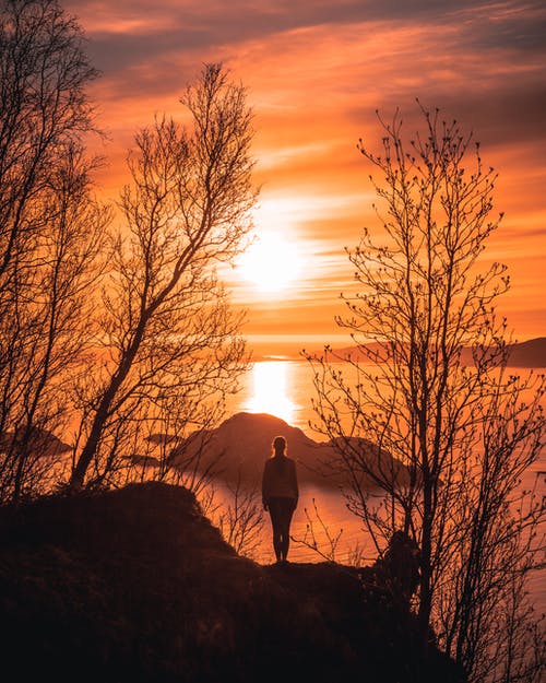 在日落期间站在树旁边的悬崖上的女人 · 免费素材图片
