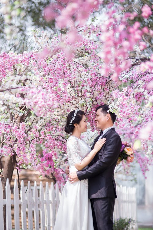新婚夫妇在粉红色的樱花下 · 免费素材图片