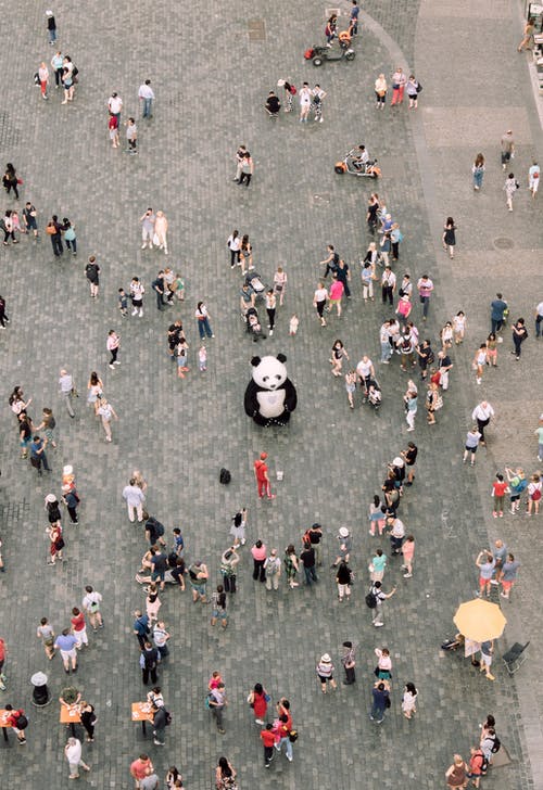 人们聚集在一起看熊猫吉祥物 · 免费素材图片