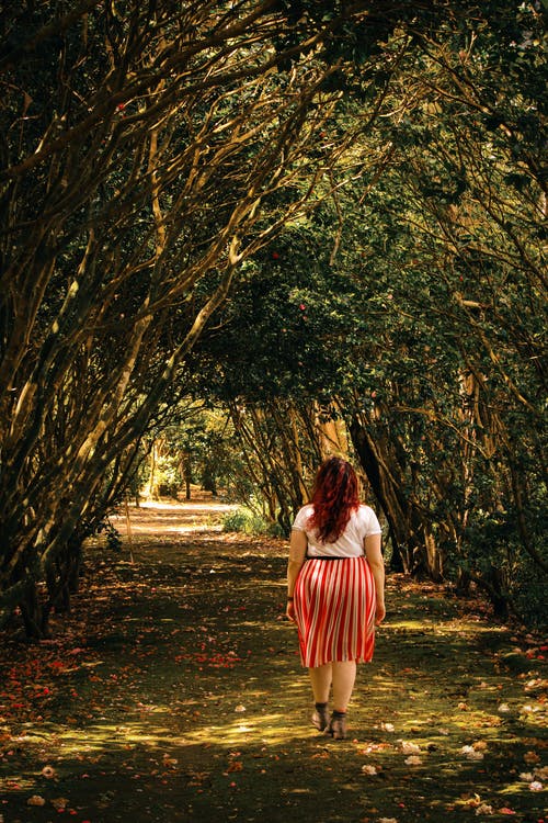 在树的途径上行走的女人 · 免费素材图片