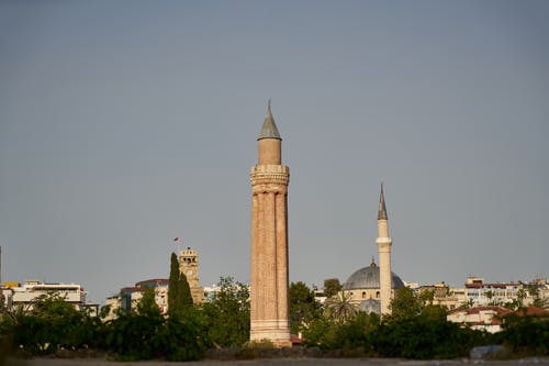 树木附近的米色支柱 · 免费素材图片