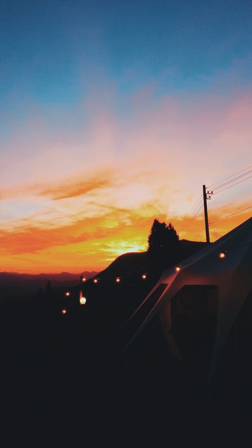 树的剪影照片 · 免费素材图片