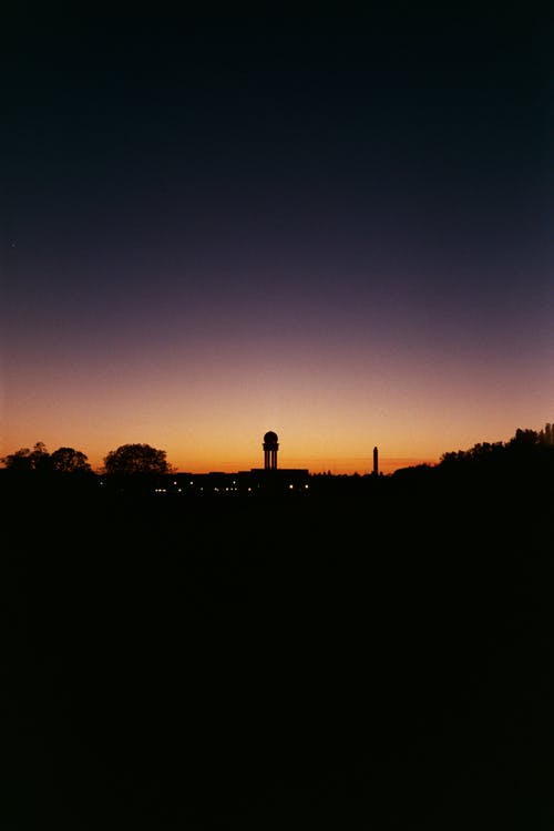 树木剪影 · 免费素材图片