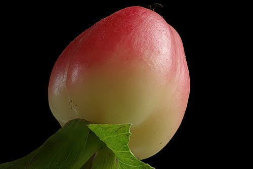 圆形红色和黄色水果 · 免费素材图片