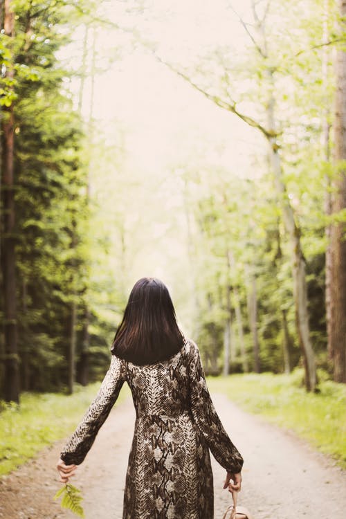 后视图的女人在泥土路过树木的背着背包走的照片 · 免费素材图片