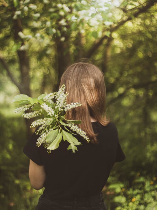 女人在黑色的t恤，拿着植物的背影照片 · 免费素材图片