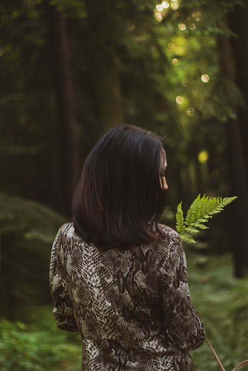 女人站在树林里抱着蕨叶的背影照片 · 免费素材图片