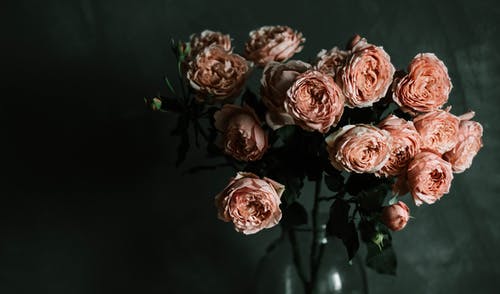 玻璃花瓶里的粉红色花园玫瑰花朵的照片 · 免费素材图片